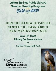 Summer Reading Program – Learn about New Mexico Raptors