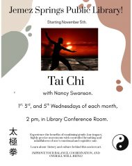 Tai Chi at the Library