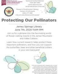 Protecting our Pollinators